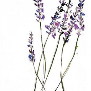 Meet your Posher, Gabby